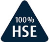 Image_HSE Logo